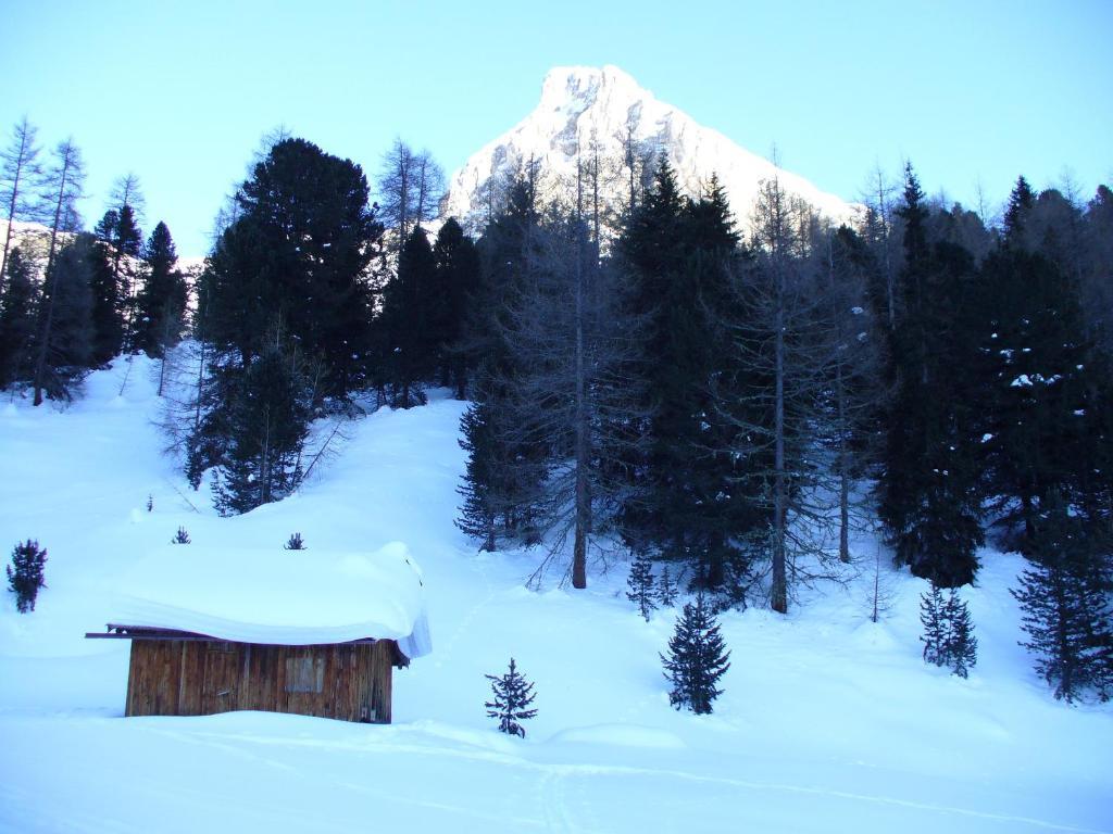 Hotel El Geiger Pozza di Fassa Exterior photo